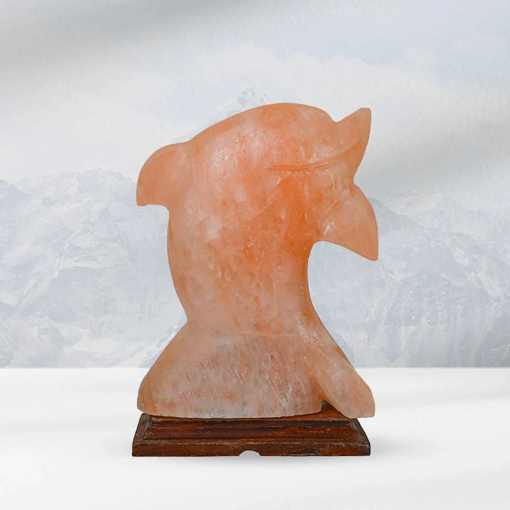 Dolphin Fish Shaped Himalayan Salt Lamp